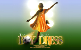 The Boy in the Dress